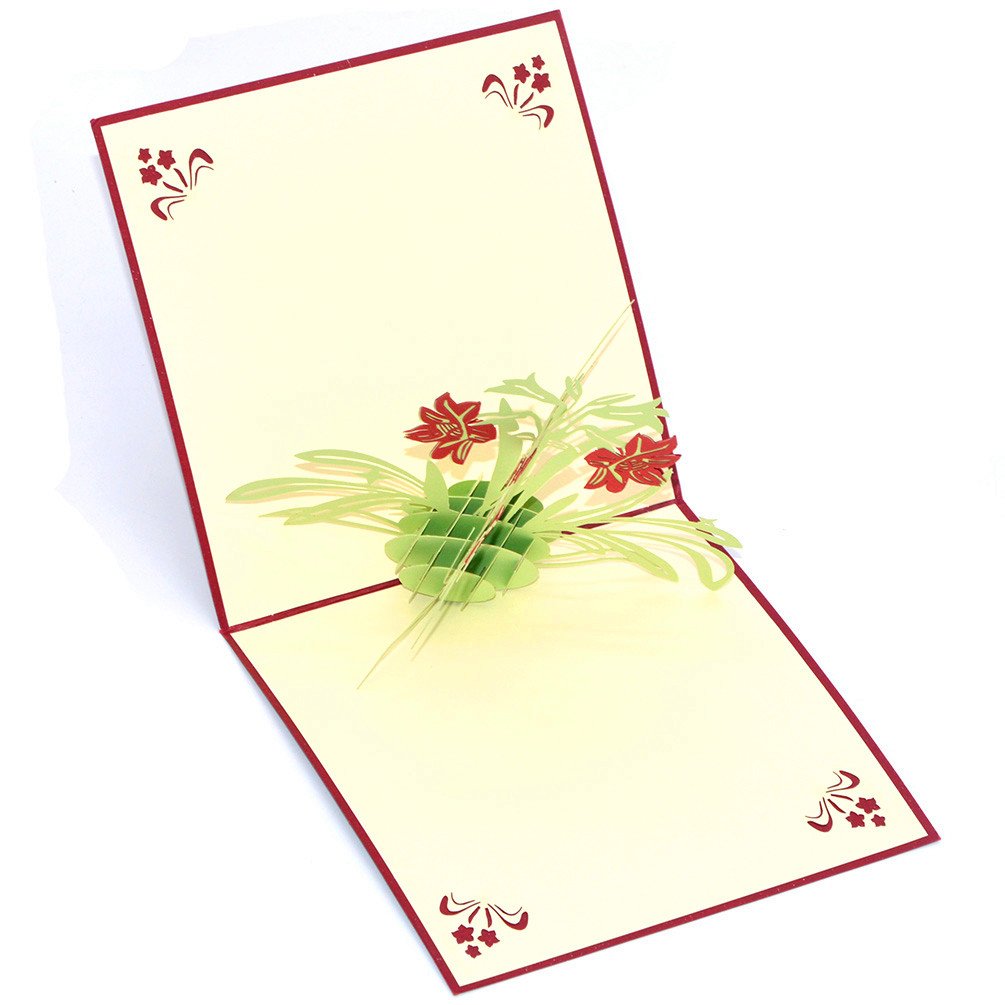 Carte D'Anniversaire Faite à Main 3D Pop Up Kirigami Creux Appareil