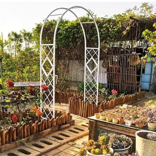 Arche de jardin en acier support haut de gamme fleurs grimpantes - 7