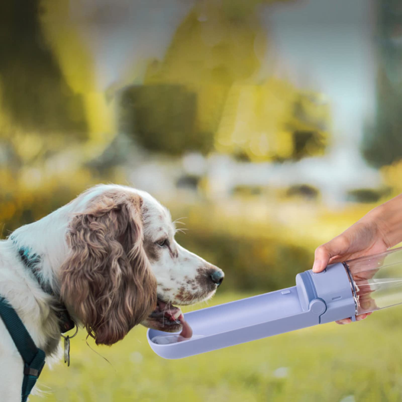 Bebedero para Perros Taza de Agua para Mascotas, Hervidor de Agua para Exteriores Taza Portátil para Perros Suministros de Viaje para Caminar para Mascotas Higiene de Almacenamiento Plegable