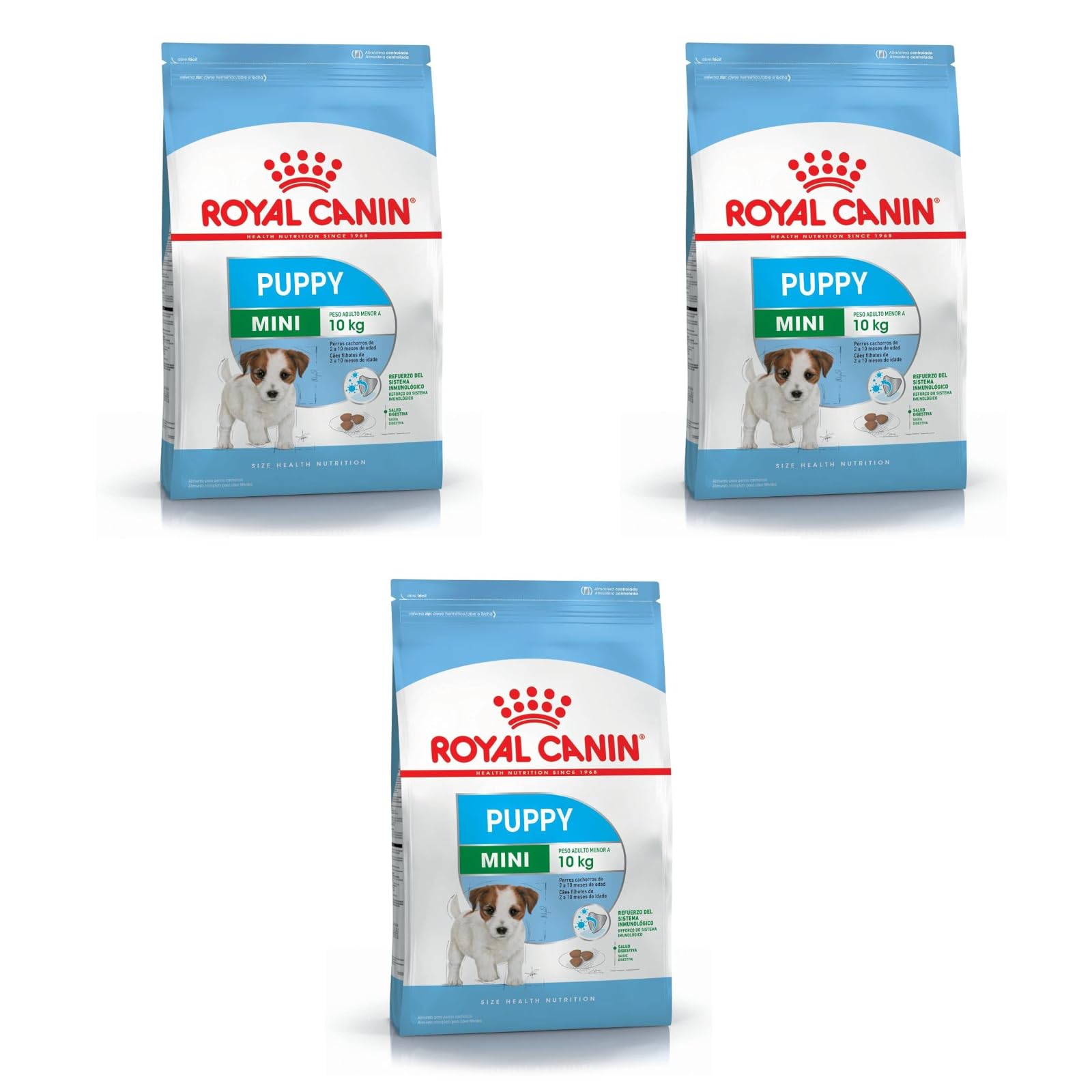 ROYAL CANIN Puppy Mini | Pack de 3 | 3 x 800 g | Nourriture sèche pour Chiens | Aliment Complet pour Chiens | pour Les Petits Chiots (Poids Final : jusqu'à 10 kg) - Jusqu'à 10 Mois