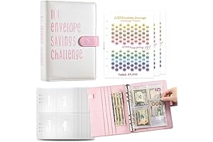 Pink Money Saving Envelopes: 100 Envelopes for $5050 in 100 Days