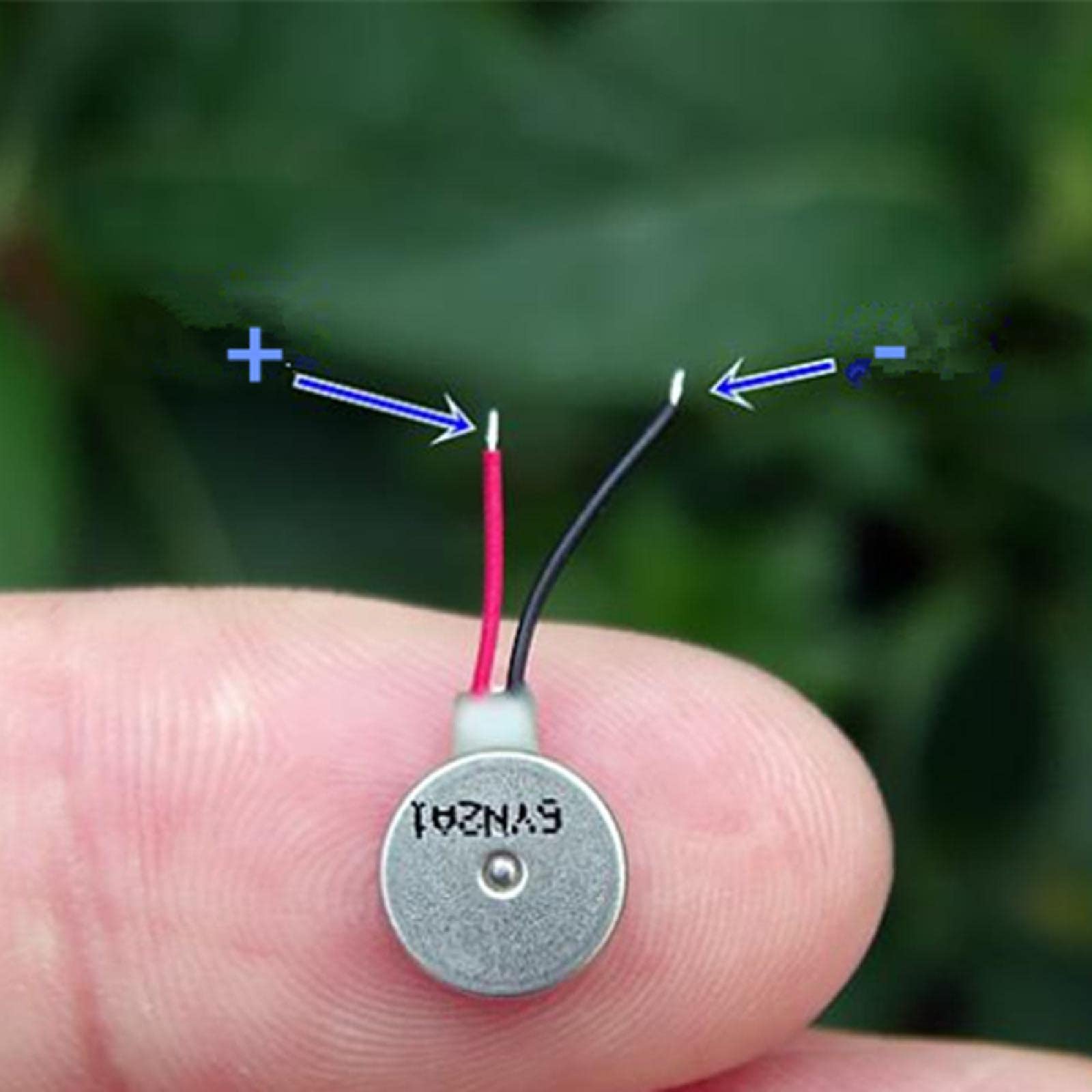 Amazon.com: MOOKEENONE 5X Brushless Vibration Motor Mini Vibration Motors  DC 3V Flat Coin Button-Type Micro DC Vibrating Motor for Watch : Toys &  Games