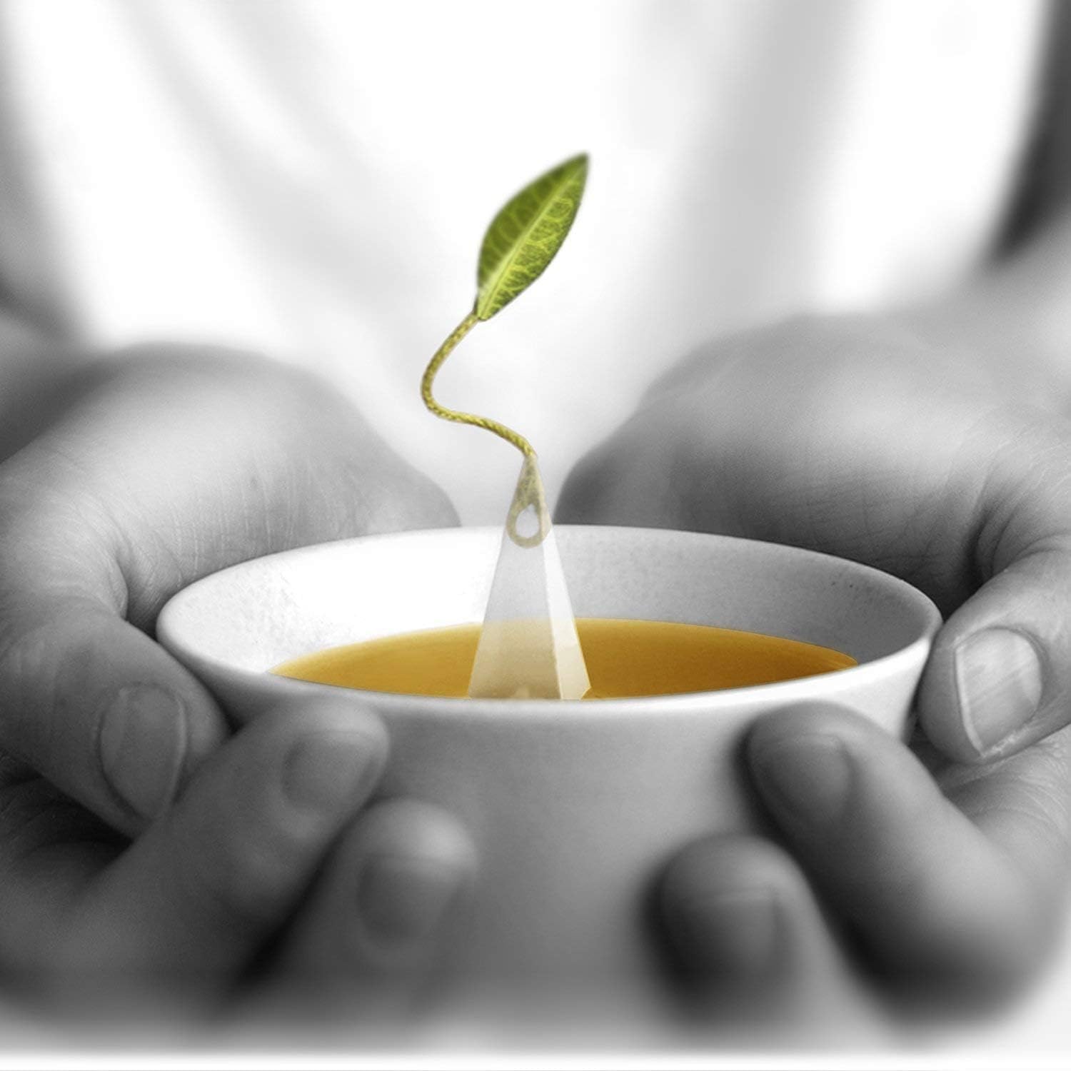 Tea Forte, Black Currant | opakowanie z 40 piramidami do zaparzania | bio-czarna herbata