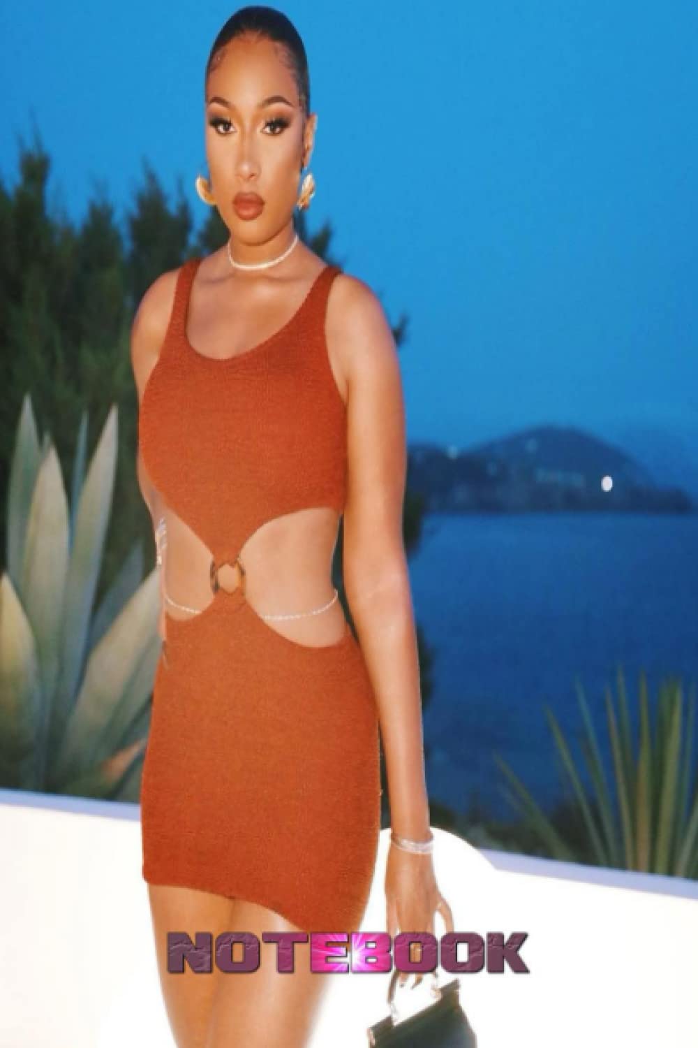 Notebook : Megan Thee Stallion Notebook Wide Ruled Lined Paper Journal Diary, Thankgiving Notebook for Students , Home or Work #271