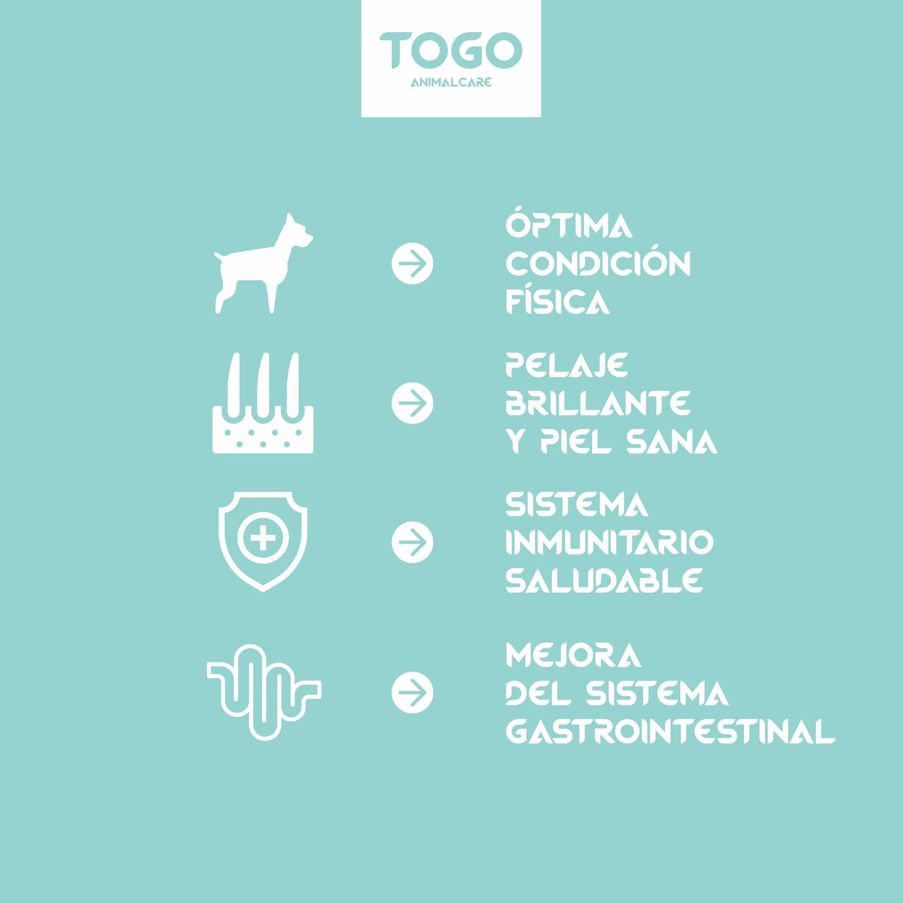 Pienso Togo Hipoalergenico Natural Veggie Perros [12 kg] Comida SIN Cereales | Apto para Todas Las Razas y Tamaños | Ideal Sistema gastrointestinal, renal y Articular | Proteínas y Light