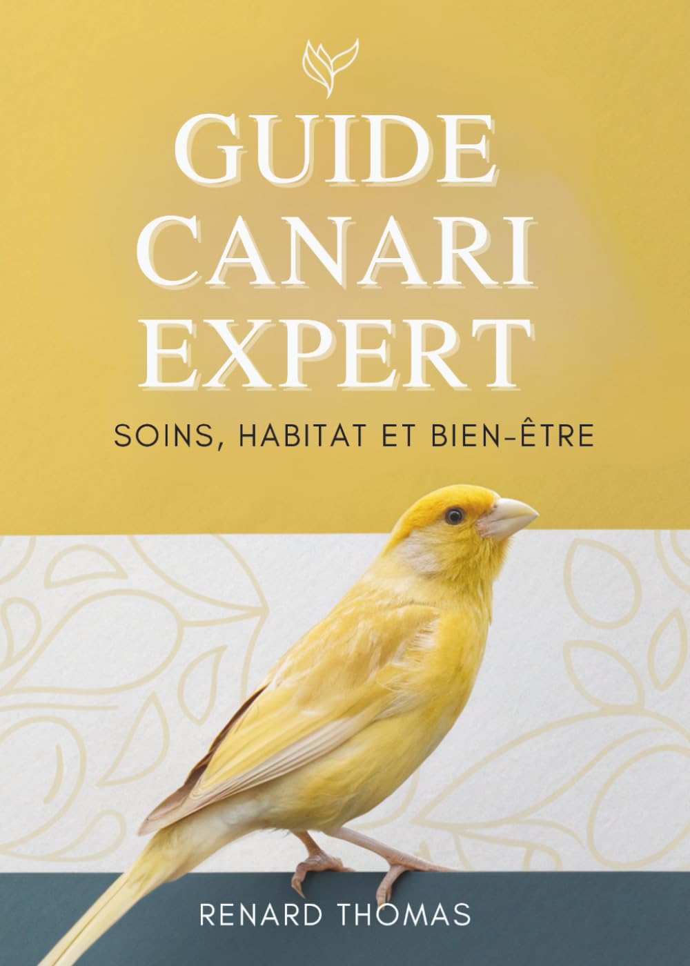 Guide Canari Expert: Soins, Habitat Et Bien-Être
