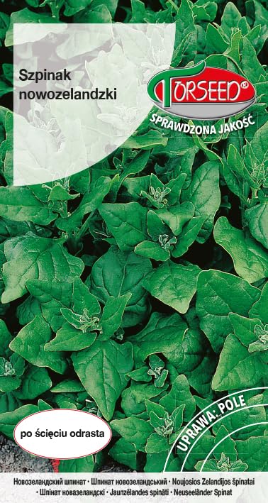 Mocne nasiona szpinaku nowozelandzkiego Tetragonia tetragonioides – pełzający wzrost, ciągłe zbiory, idealne do sałatek i gotowania, przyjazne dla środowiska, dobrze rośnie w pełnym słońcu (5