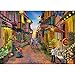 Puzzle 1000 Pièce, Puzzle Classique Puzzle Adulte Puzzle Adultes -Casse-tête du Paysage (Ville d'Eguisan)
