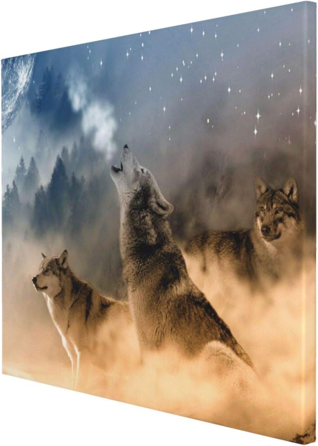 Amazon.co.jp: アートポスター フレーム 装飾画 狼 オオカミ 動物 月