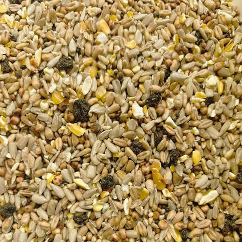 20kg Johnston & Jeff Superior Wild Bird Food With Fruit