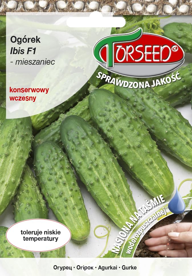 Ibis F1 nasiona ogórków – wczesny, silny wzrost, odporne na grzyby, idealne do marynowania, odporne na zimno, biodegradowalna taśma, 40 nasion