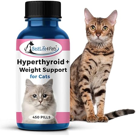 natural treatment cat hyperthyroidism