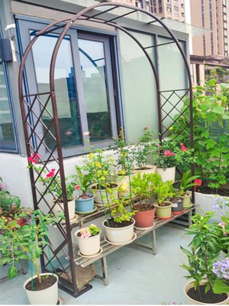 Arco de enrejado de rosas de metal galvanizado resistente, arco de jardín resistente para plantas trepadoras y rosas, diseño independiente, 55 x 90 pulgadas, marrón, perfecto para paisajismo de jardín