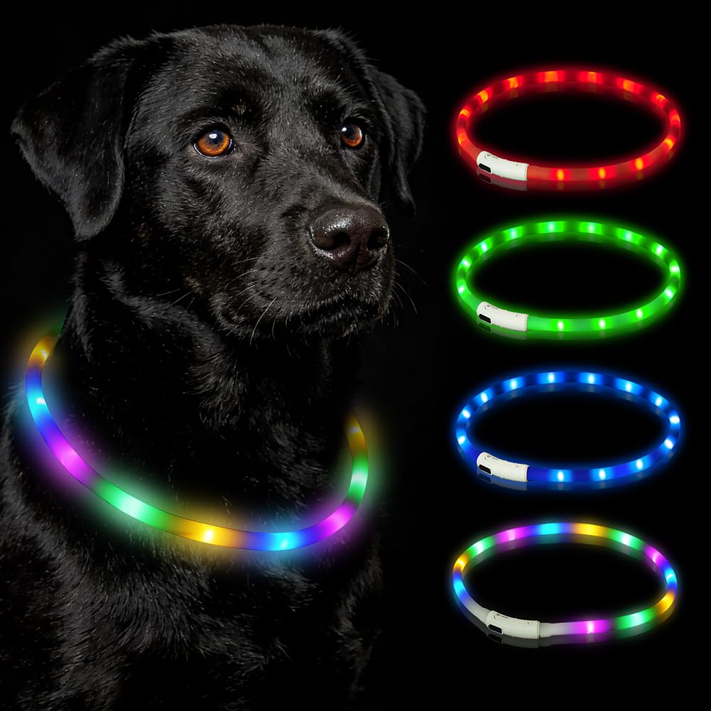 hotut collier lumineux led pour chien