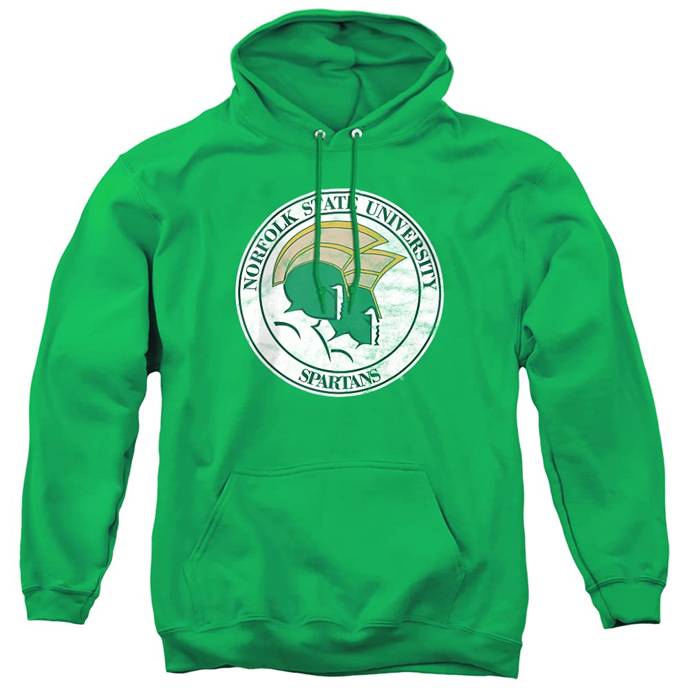 LOGOVISION Official Collegiate Distressed Primary Logo Adult Pullover Hoodie Collection — view 469