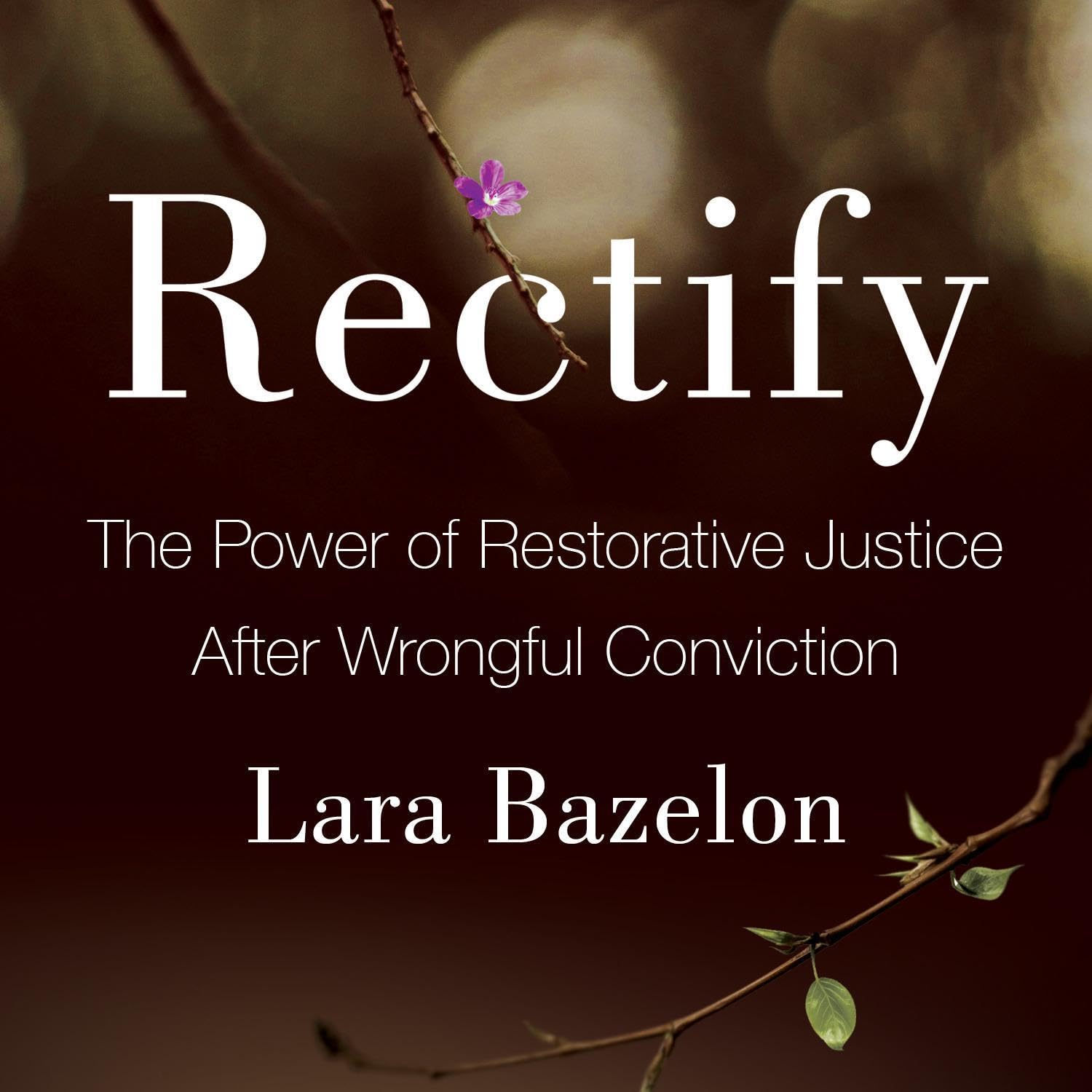 Cover art for Rectify