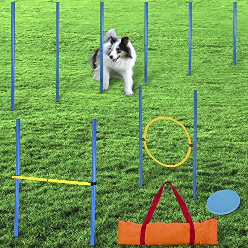 valuents Slalom Stangen mit 2 Hürde + 1 Ring - blau/gelb - Slalomstangen/Hindernis/Sprungring – Agility Set für Hunde – Hundetraining Zubehör – Fußball Traininigsset - Plus: Frisbee