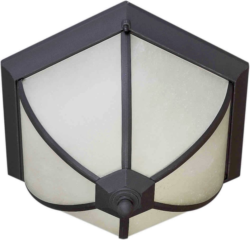 Forte Lighting 17007-02-04 Transitional 2-Light Energy Efficient Exterior Flush Mount with Frosted Seeded Glass, Black Finish