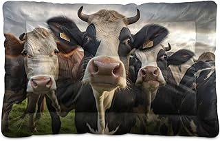 Kigai Cows Dog Bed Machine Washable Pet Bed Mattress Comfortable Soft Pet Bed Mat Non-Slip Bottom Couch for Small Medium Dogs,36x24 Inch