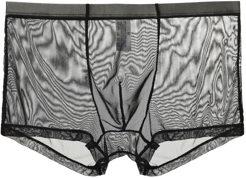 Mens Sheer Mesh Boxer Briefs Pouch Trunks Lightweight Underwear
