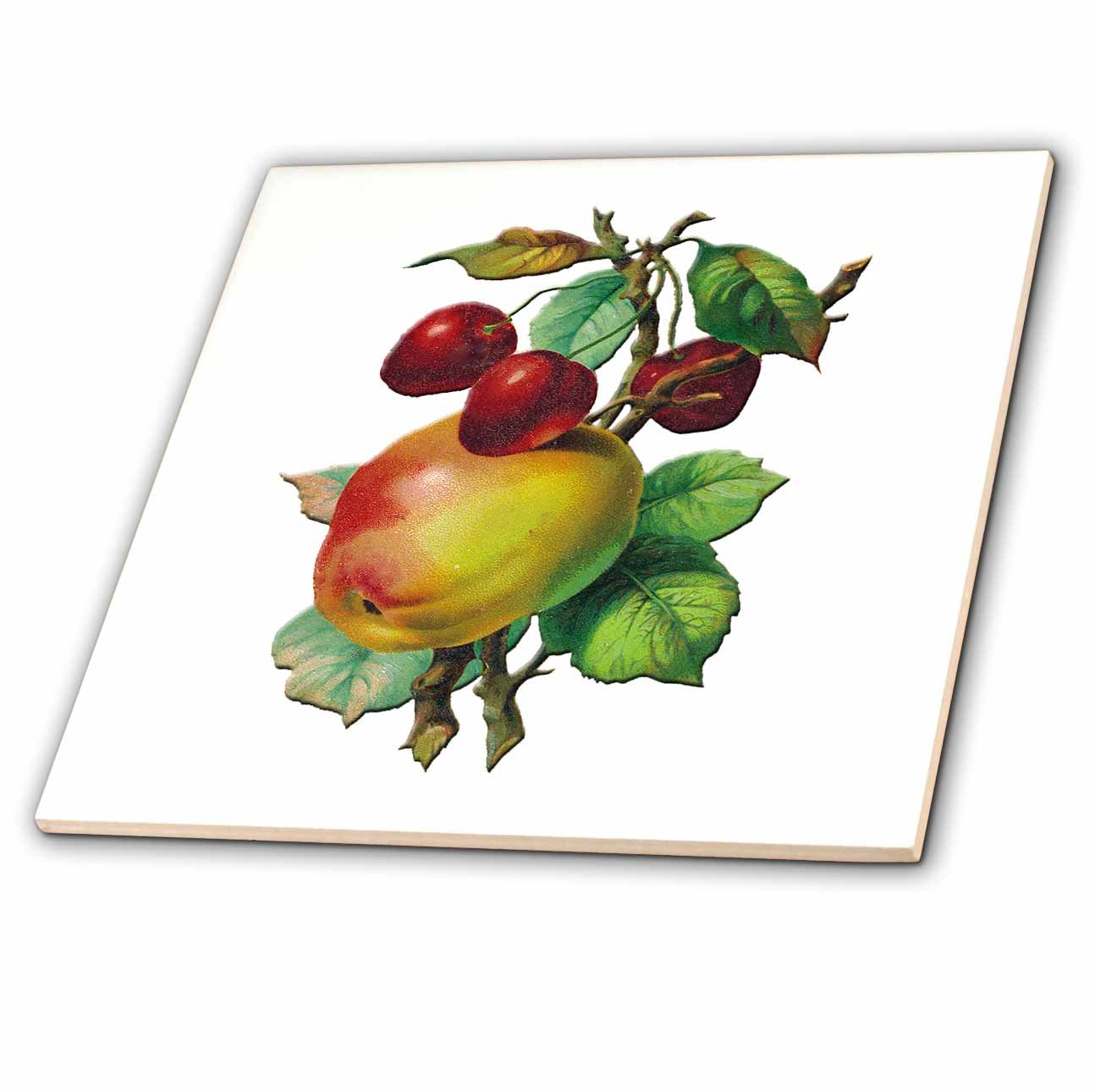 3dRose Keramikfliese 15,2 Cm | Vintage Äpfel Mit Kirschen Motiv | Hochglanz | Für Wanddekoration