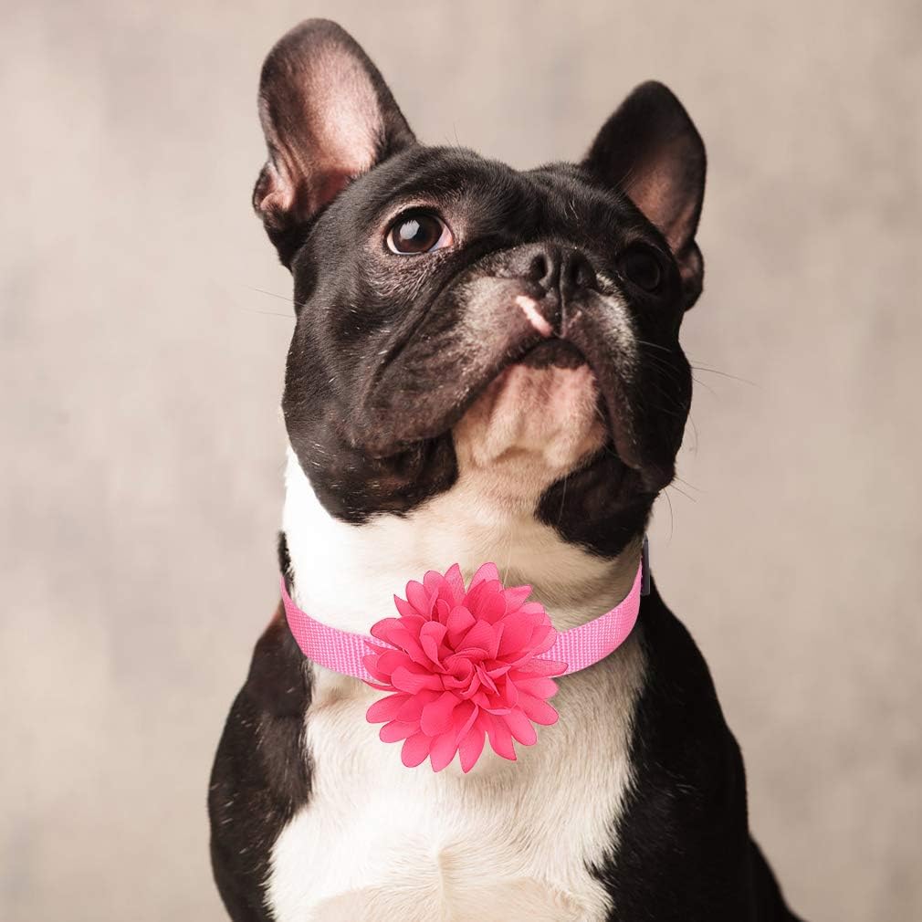 Dog Collar Flowers Accessory, 8 Pack with a Basic Pink Collar - Valentine's Day Pet Charms Flower Slides Attachment Decoration for Dogs & Cats