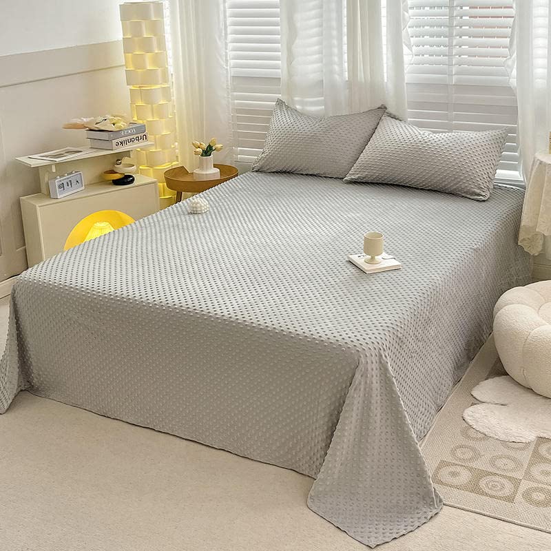 Zhiyuan Solid Minky Dot Bed sheet Warm Velvet Fleece Bedding Flat Sheet Lightweight Bed Blanket, 160 x 230 cm, Light Grey