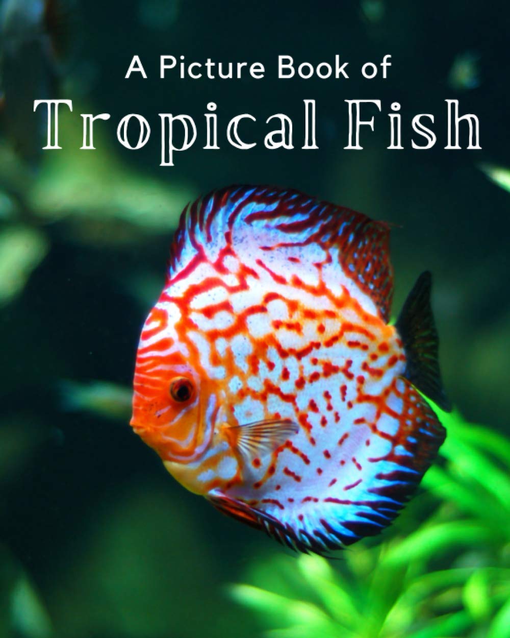A Picture Book of Tropical Fish: A Beautiful Picture Book for Seniors With Alzheimer’s or Dementia.: 3 (Picture Books For Seniors)