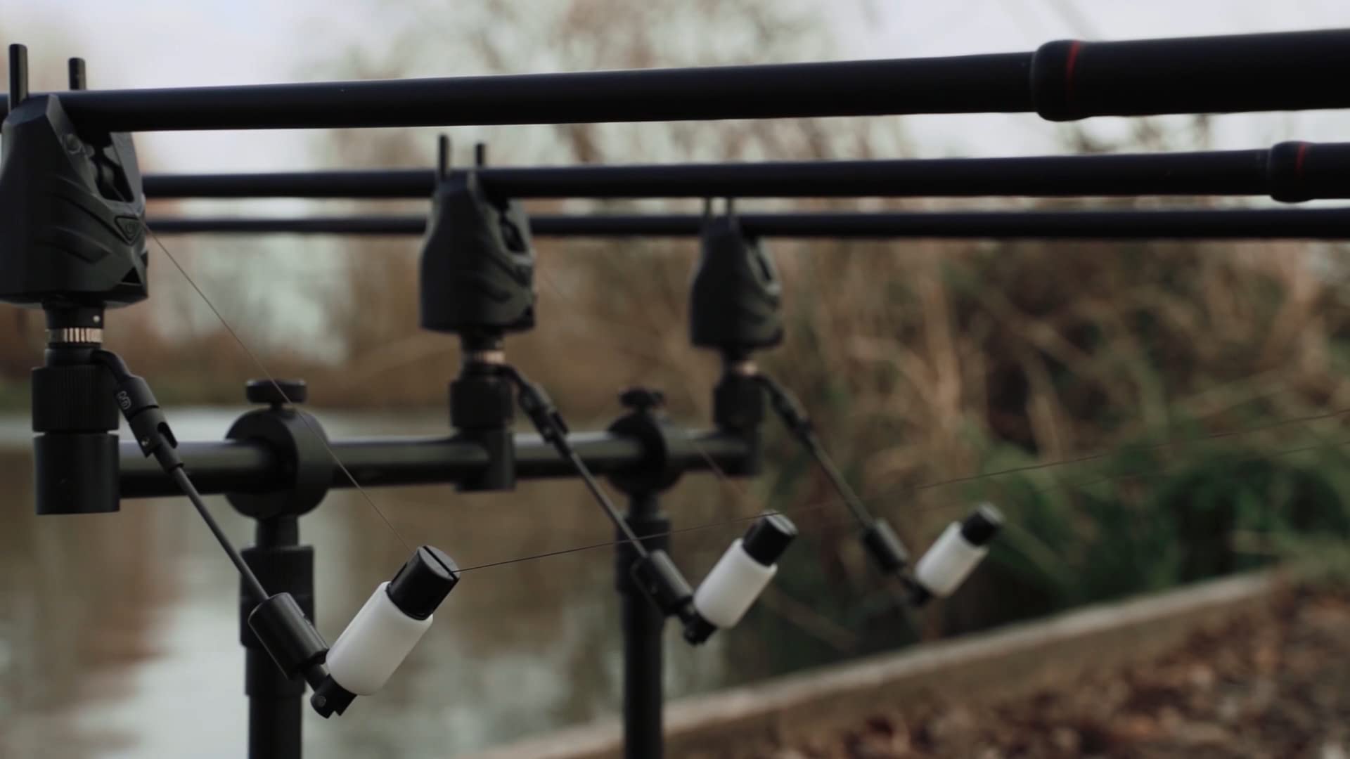 Leucht Bissanzeiger Für Karpfenangeln - Mit Ketten Und Spulenhalter