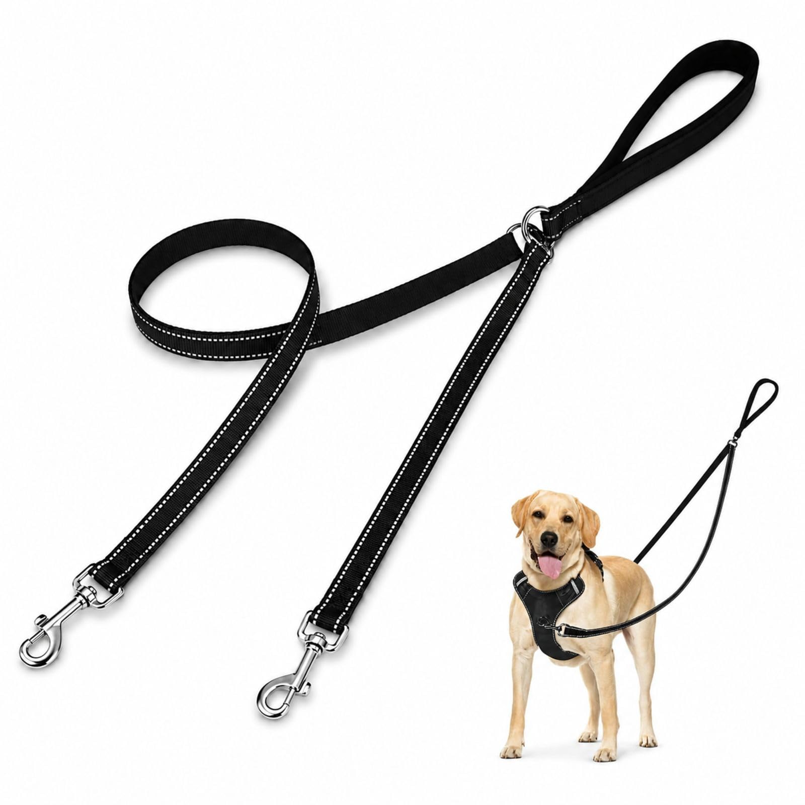 Double Clip Lead for Dogs, Double Lead, Practical and Handy, Dual - ended Dog - walking Accessory, Ideal for Dog Owners