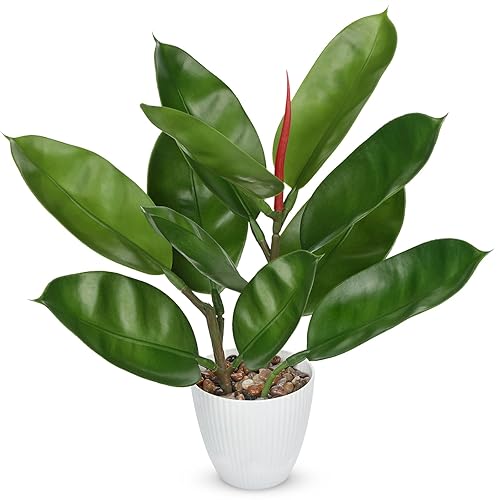 GnFlus Fake Plant Artificial Rubber Tree in White Pot Decor