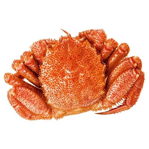 特大毛ガニ ボイル済 茹でガニ カニ 北海道産 かに 蟹 毛蟹 毛ガニ 毛がに カニ味噌 蟹ミソ 甲羅 甲羅酒 満足良品館カニ 食べ物 グルメ 美味しい 海鮮 バーベキュー BBQ (北海道産 約730g (1尾))