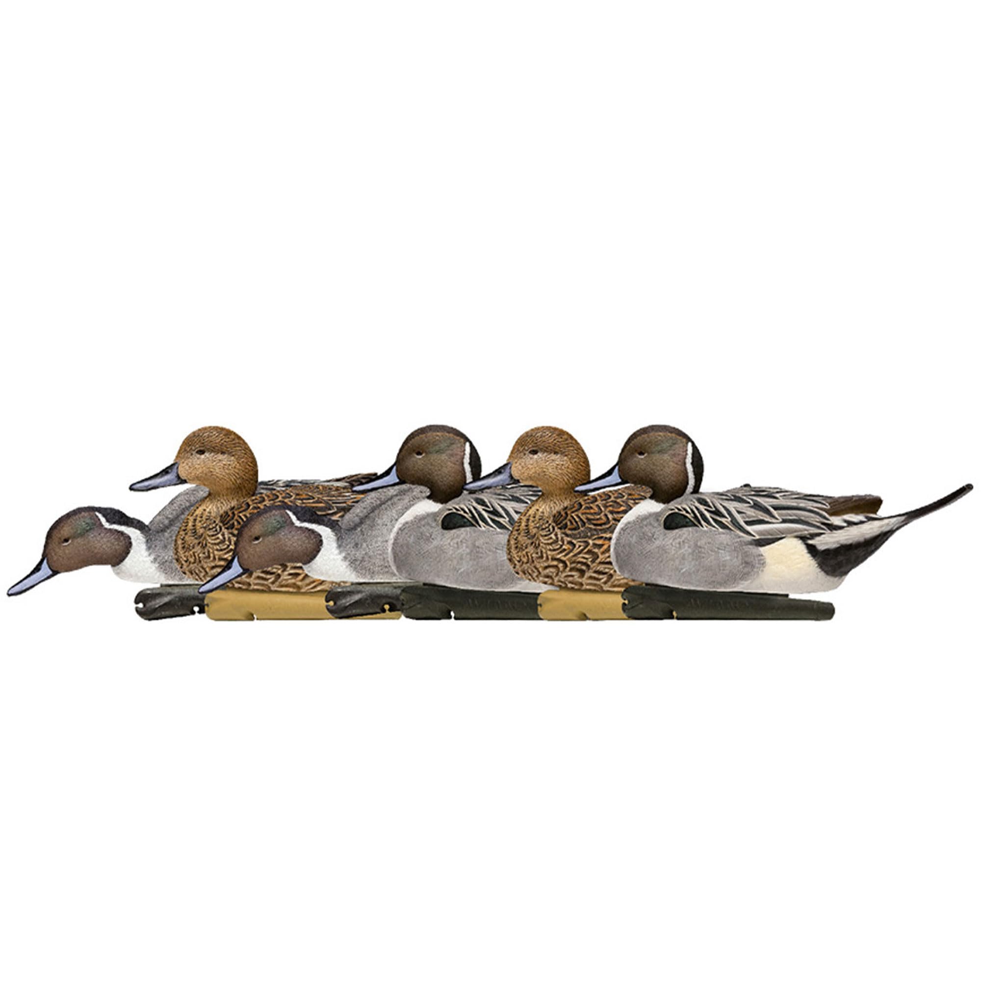 Avian-X TOPFLIGHT Floating/PINTAILS