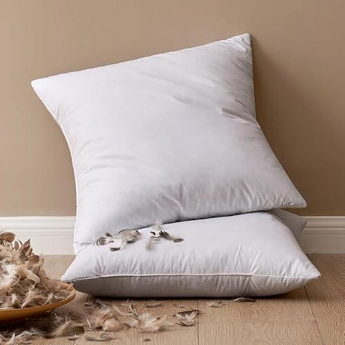 MIULEE Relleno de almohada de 18 x 18 pulgadas, paquete de 2 rellenos de almohada de plumas, almohadas decorativas esponjosas de tela de algodón