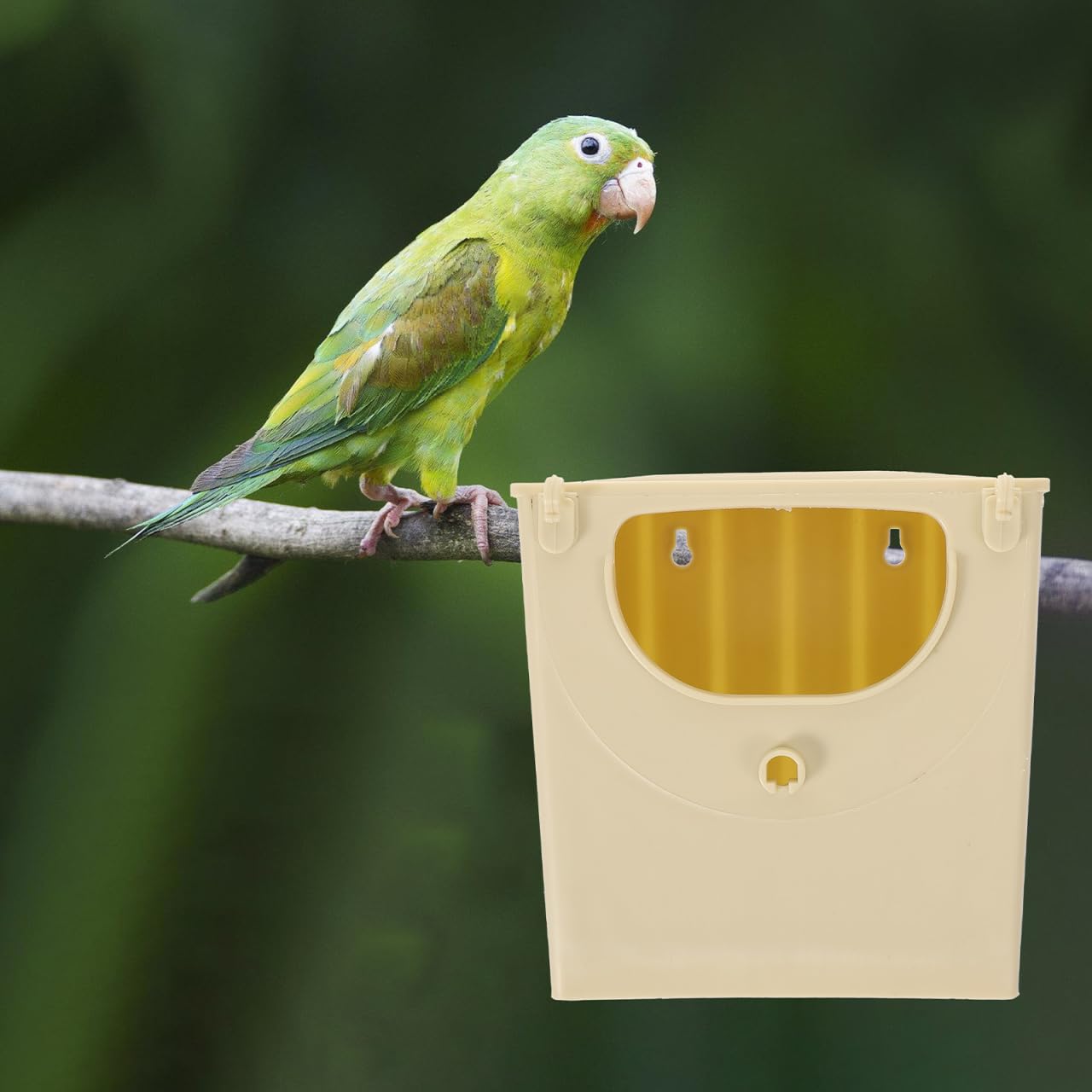 Alipis 4 Stück Box Vogelzuchtbox Wellensittich Nest Vogelbedarf Vogelnest Vogelkäfig Zucht Finkennest Vogelkäfige für Wellensittiche kleine Vogelkäfig Nymphensittichkäfig Meerschweinchen Wellensittich