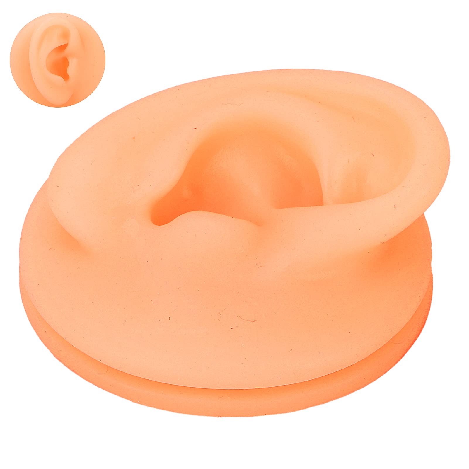 Modello di Orecchio Finto, Facile Indossare, Simulazione Riutilizzabile, Esperienza Pratica Realistica, Orecchio Umano in Silicone Morbido, Ampiamente Utilizzato per il Piercing all'Orecchio