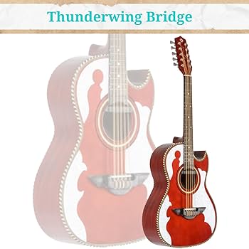 Amazon.com: H. Jimenez 7 String Acoustic-Electric Guitar