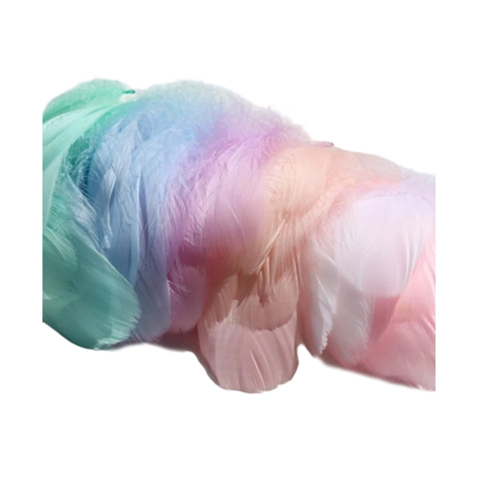 Sbshiouu C 300Pcs Rainbow Plumage For Reation Beautiful Accent For Ostumes Bags And Special Occasions Quills For Rafting