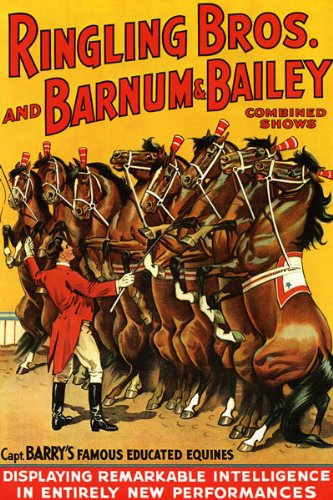 WONDERFULITEMS Horse EQUINES New Performances Show Circus 20