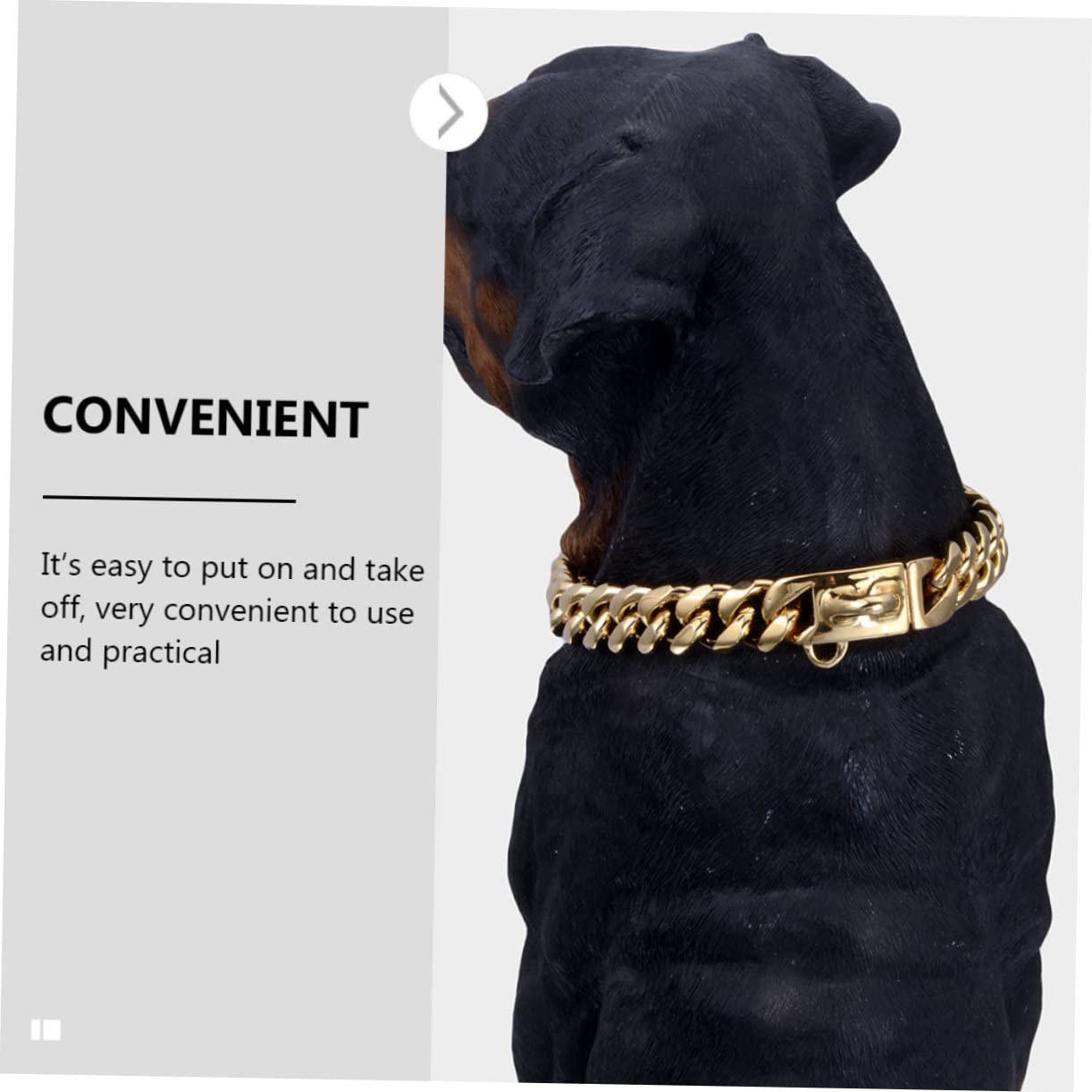 GALPADA Collier Chien Inoxydable Or Morsure Accessoire Délicat pour Animaux de Compagnie Collier Chiot Durable et Réutilisable