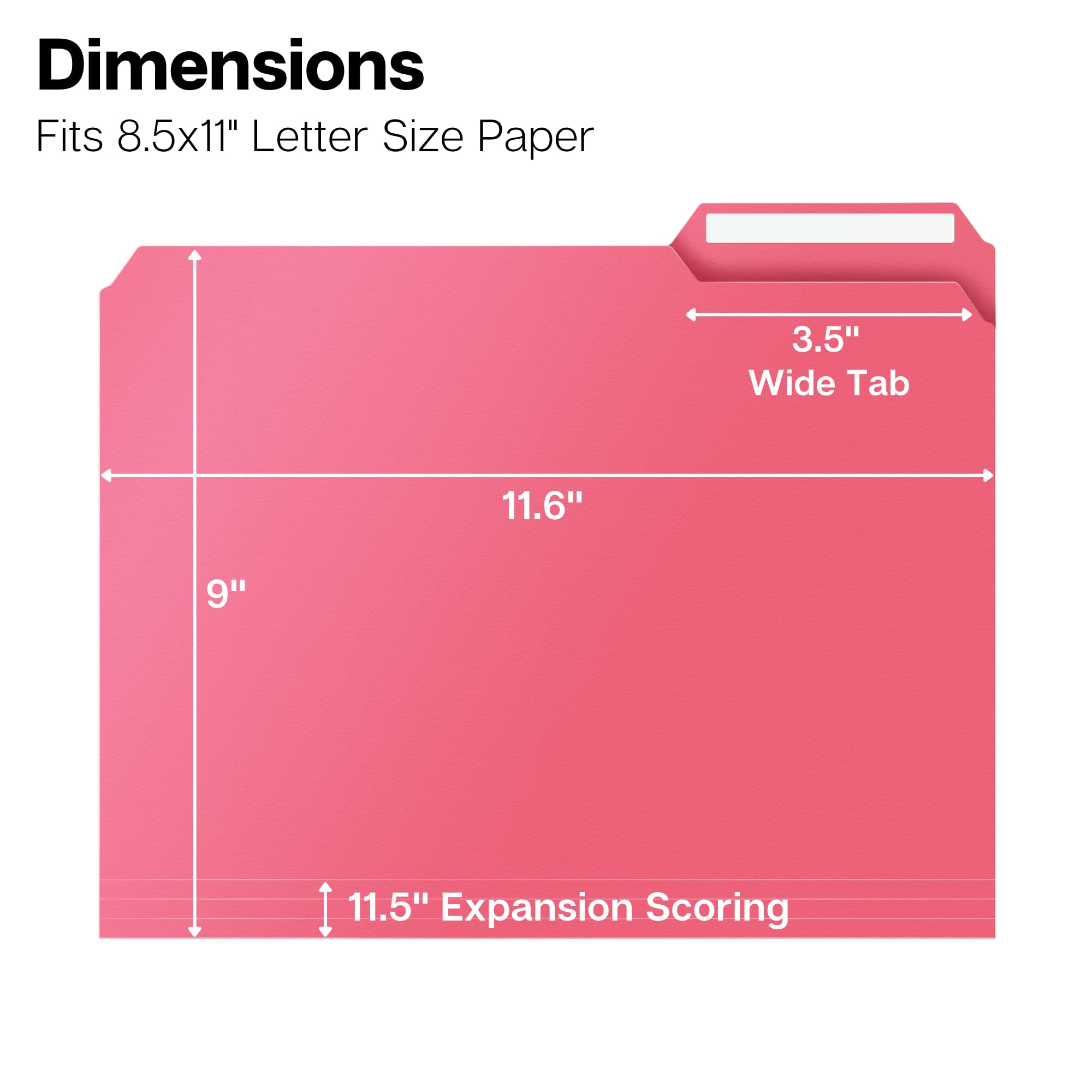 Snapklik.com : Dunwell Plastic Colored File Folders