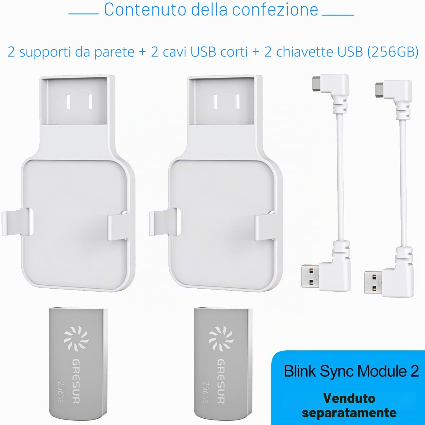 Chiavetta USB da 256 GB per archiviazione video locale con supporto Blink Sync Module 2 (modulo Blink Add-On Sync 2 non incluso), confezione da 2