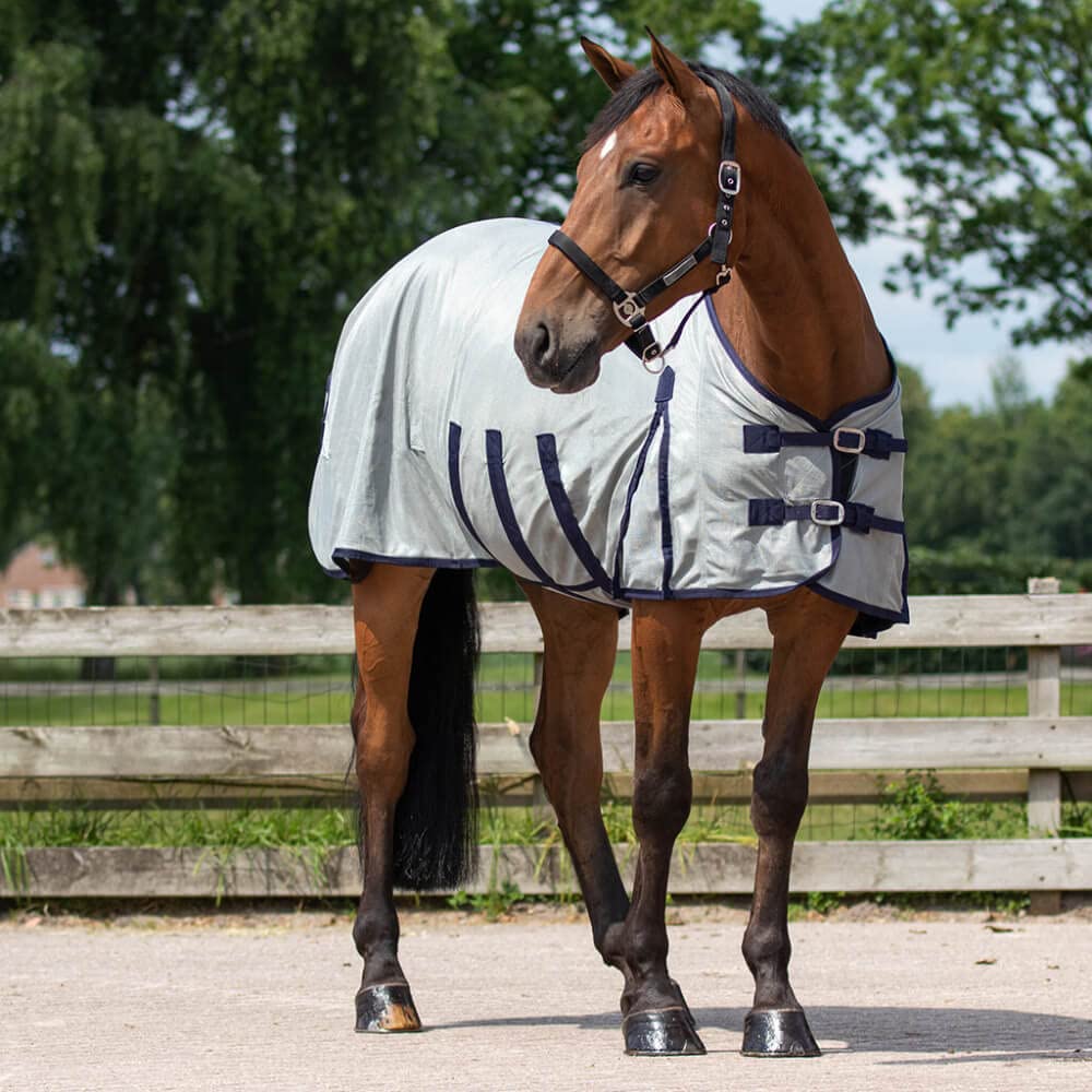 QHP – Manta antimoscas para caballo con sombrero y cuello, 3 cinturones en el viente y cierre frontal