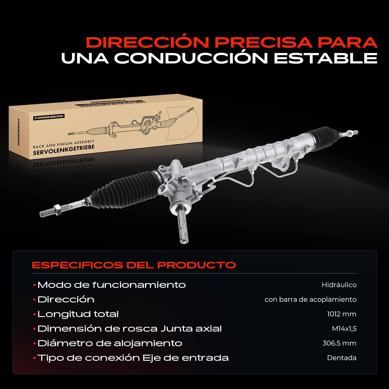 Frankberg Dirección asistida dirección hidráulica 490014306R