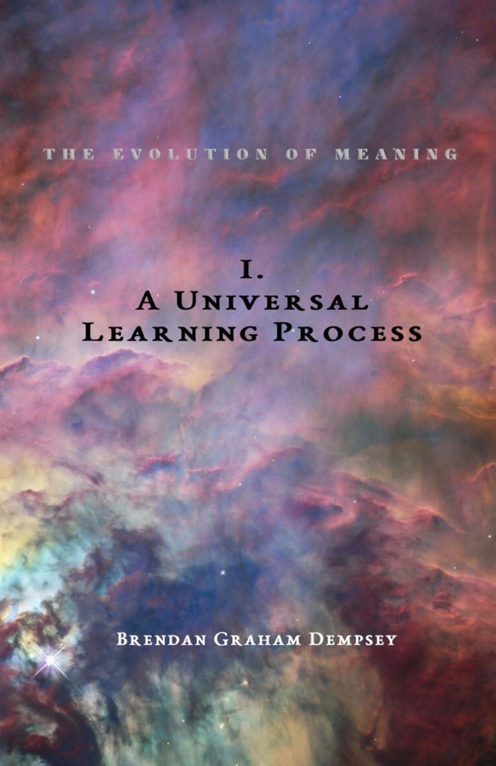 A Universal Learning Process (The Evolution of Meaning)