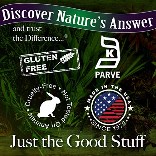 Nature's Answer Elecampane Root 2 Oz. Low Organic Alcohol 2000Mg - Herbal Supplement - Non Gmo & Kosher - Low Alcohol Gluten Free 100% Vegan - 2 Fl Oz #TOP3