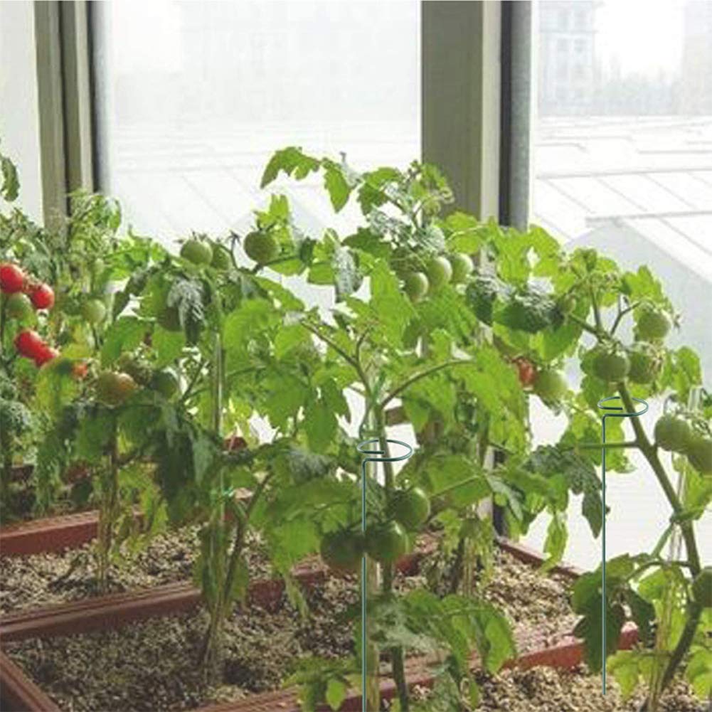 Paquet De 6 Piquets De Soutien Pour Plantes, Piquet Pour Plantes De