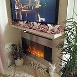 Review Image by Candyce Raub Candyce Raub