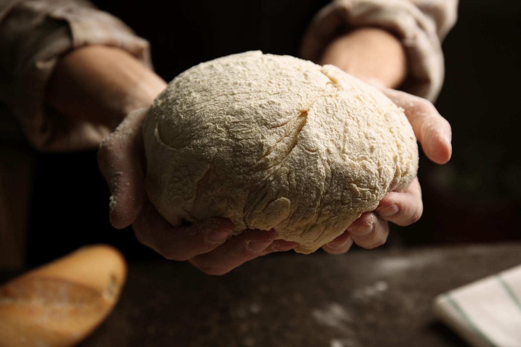 Bäckerei Spieglhauer Bio Ruchmehl 25 kg Weizenruchmehl