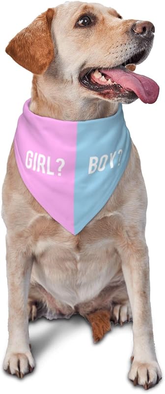 Bandana para Cães em Poliéster com Coleira Ajustável He Or She, Rosa/Azul